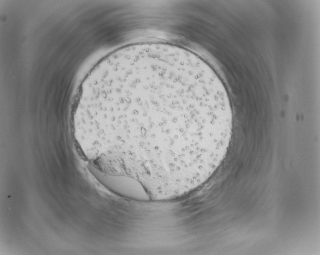 X0000069391488200606091704