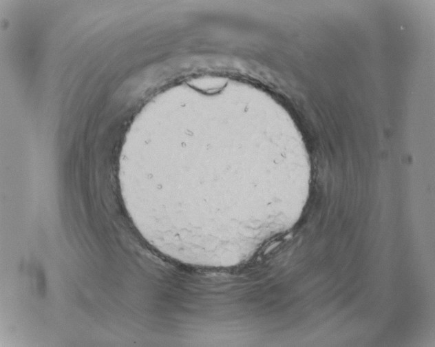 X0000069391489200606091703