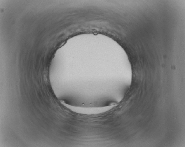 X0000069391490200606091703