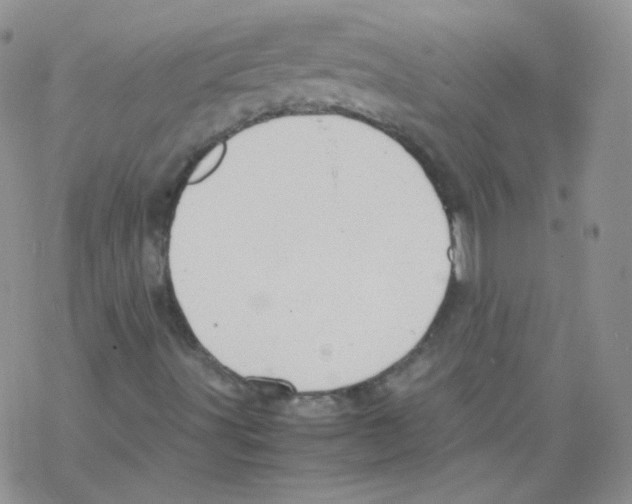 X0000069391491200606091703