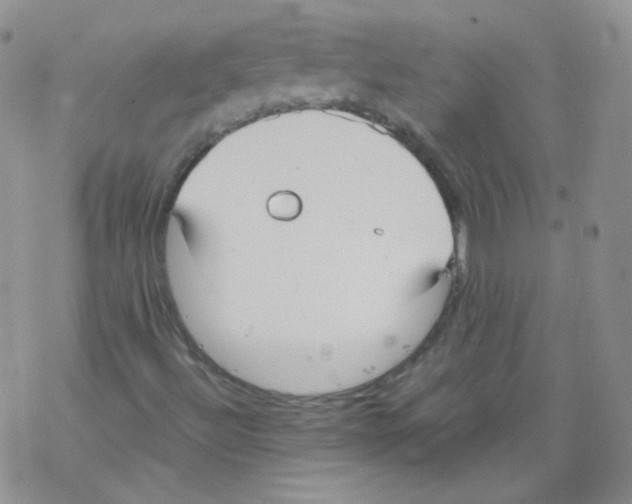 X0000069391492200606091703