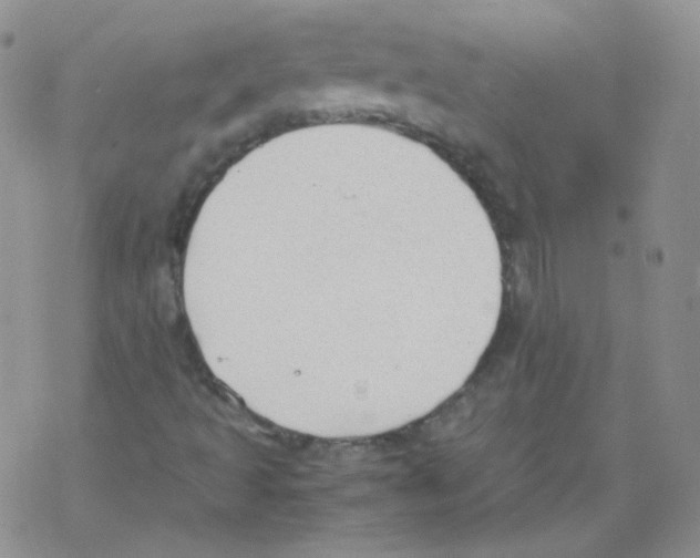 X0000069391493200606091703