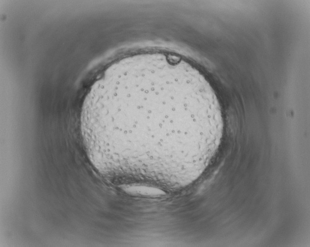 X0000069391494200606091703