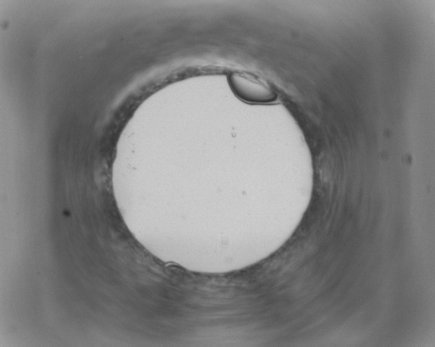 X0000069391495200606091703