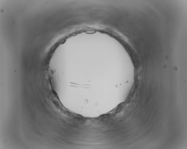 X0000069391496200606091703