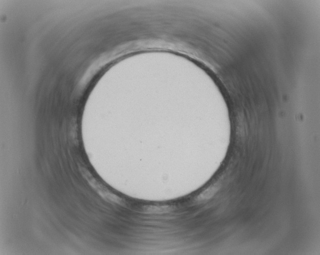 X0000069391499200606091703