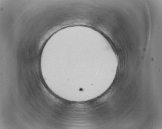 X0000069391500200606091703