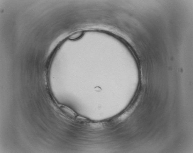 X0000069391501200606091703