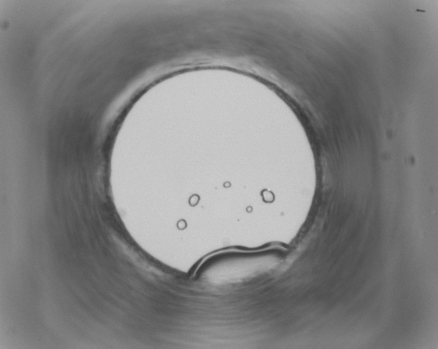 X0000069391502200606091703