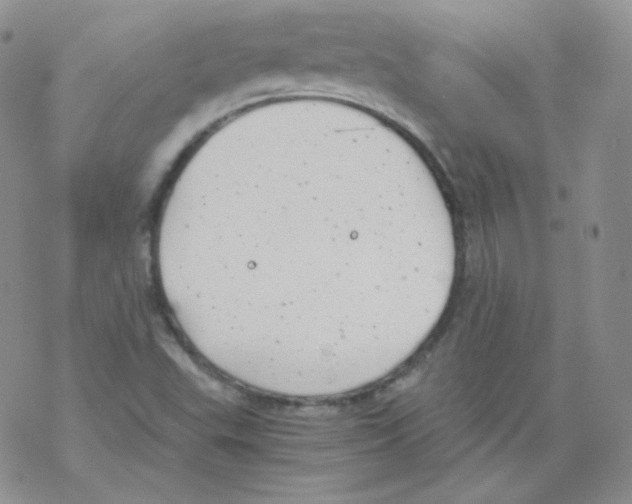 X0000069391503200606091703