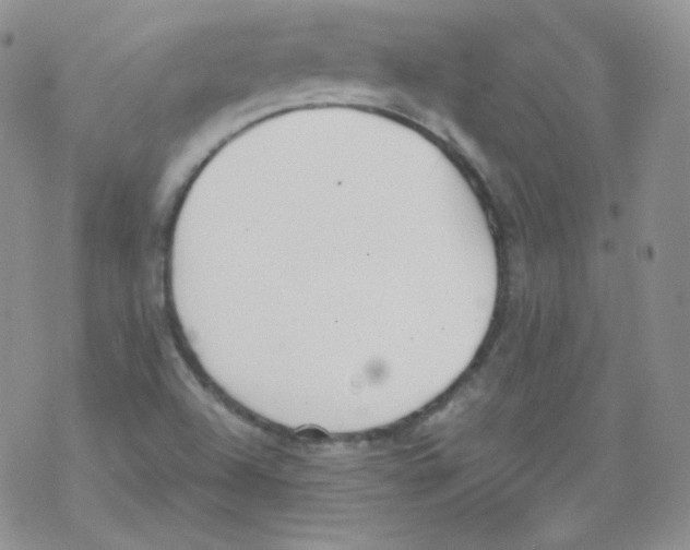 X0000069391504200606091703