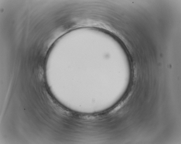 X0000069391505200606091703