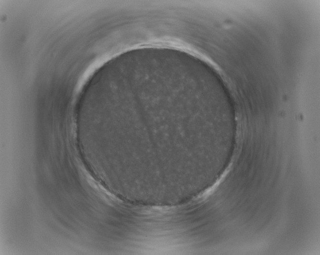 X0000069391506200606091703