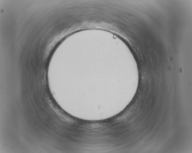 X0000069391507200606091703