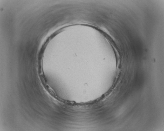 X0000069391508200606091703