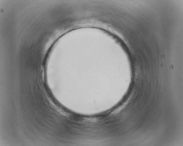 X0000069391509200606091703