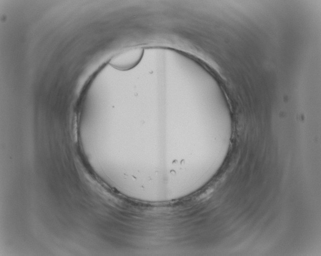 X0000069391510200606091703