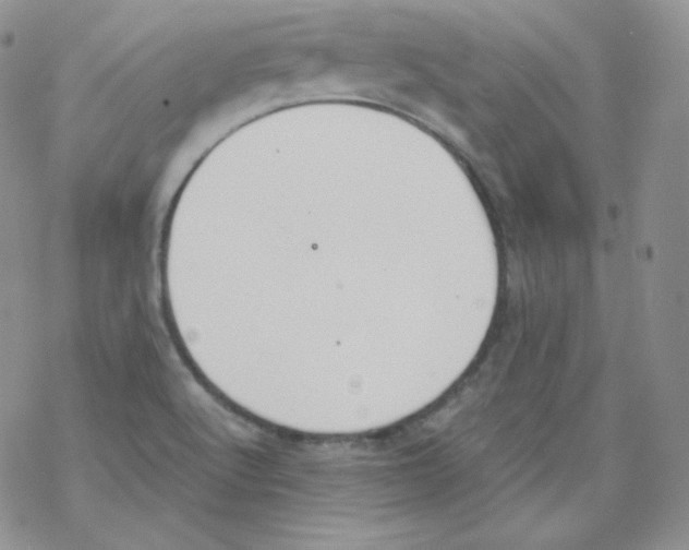 X0000069391512200606091703