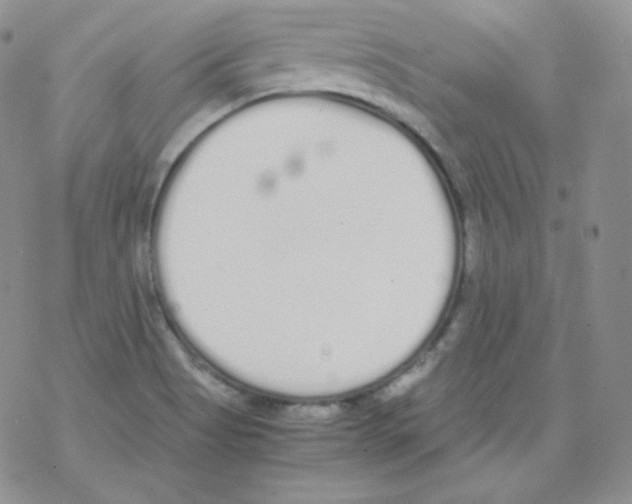 X0000069391513200606091703