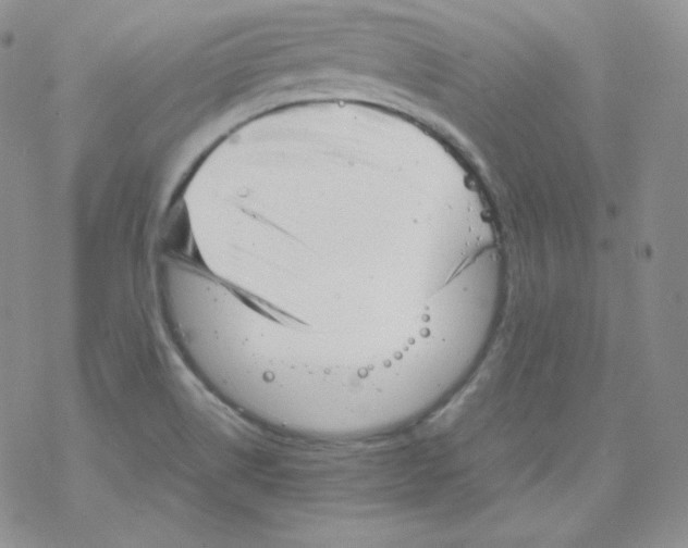 X0000069391514200606091703