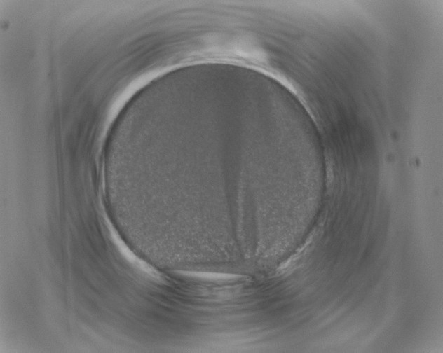 X0000069391515200606091703