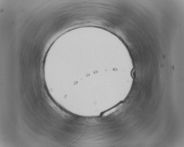 X0000069391516200606091703