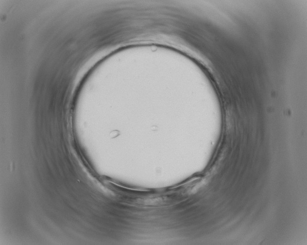 X0000069391517200606091703