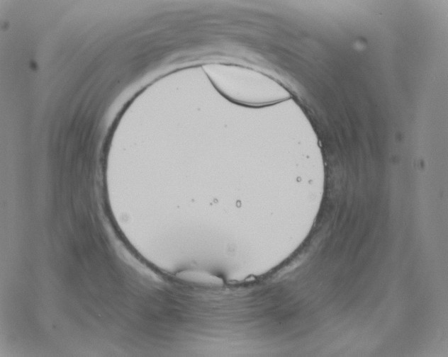 X0000069391518200606091703