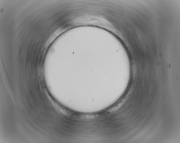 X0000069391521200606091704