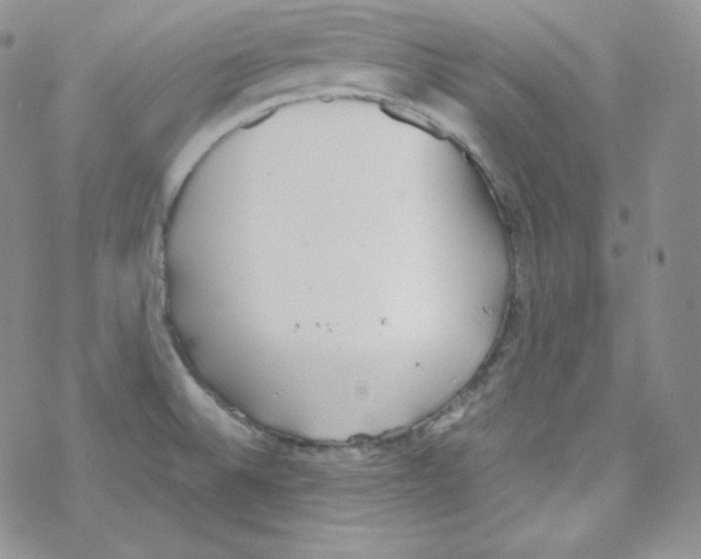 X0000069391524200606091704