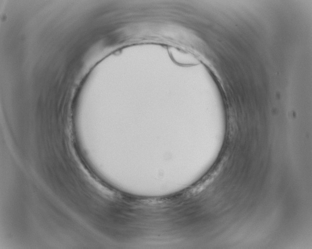 X0000069391525200606091704