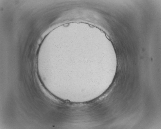 X0000069391526200606091704