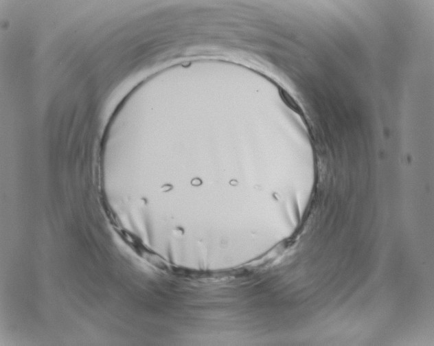 X0000069391527200606091704