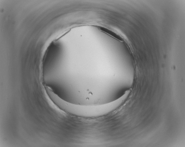 X0000069391528200606091704