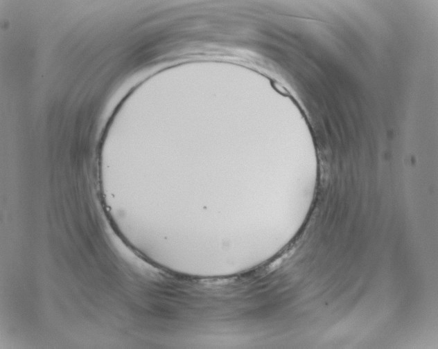 X0000069391531200606091704