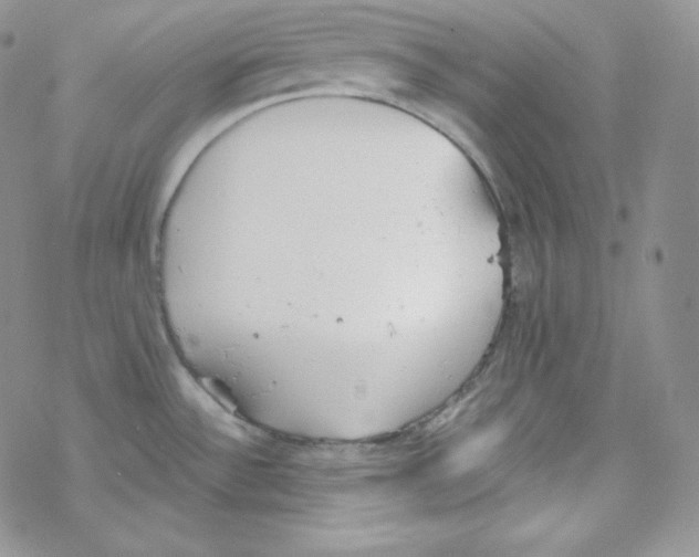 X0000069391532200606091704