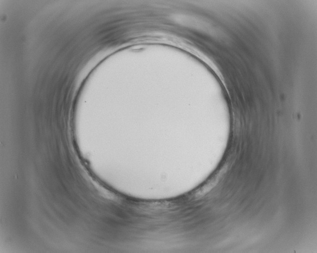 X0000069391533200606091704