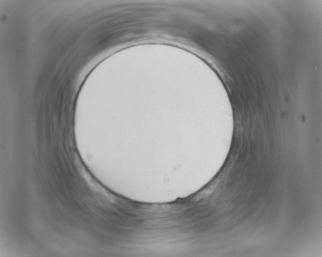 X0000069391534200606091704