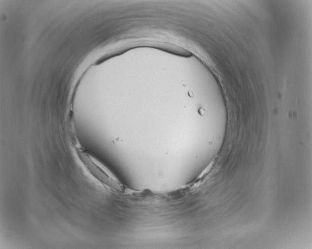 X0000069391536200606091704