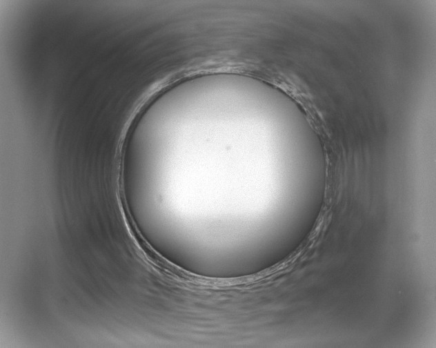 X0000069400003200605121035