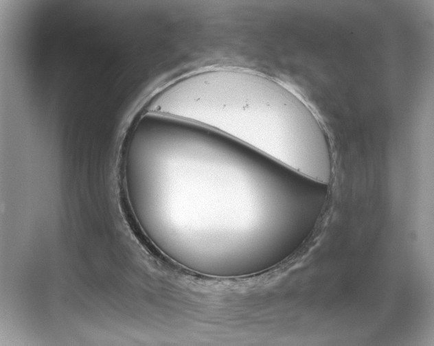 X0000069400007200605121035