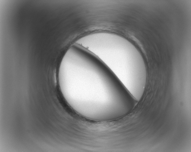 X0000069400020200605121035