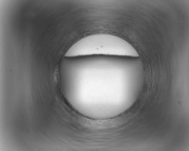X0000069400038200605121034