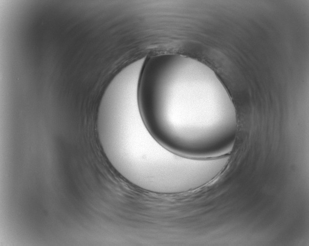 X0000069400045200605121034
