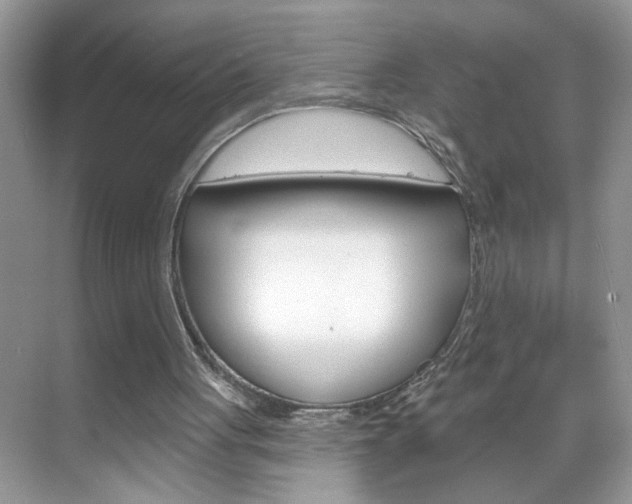X0000069400051200605121033