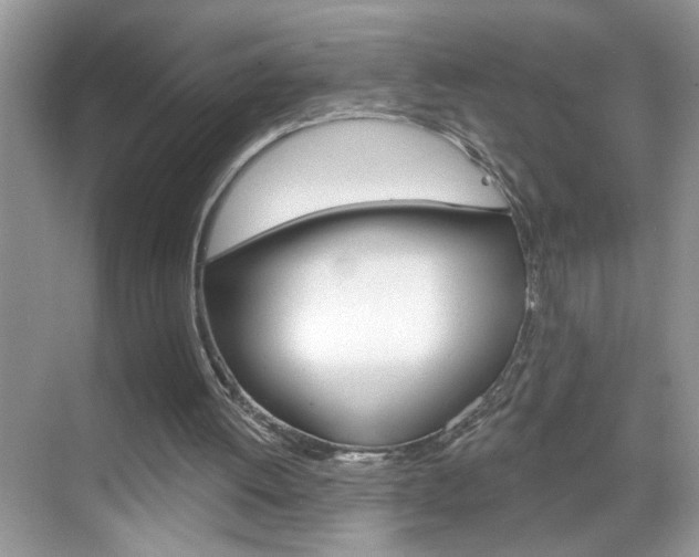 X0000069400052200605121033
