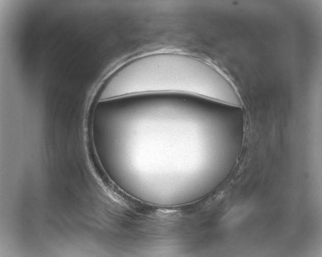 X0000069400055200605121034