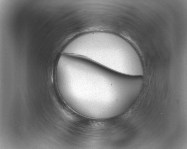 X0000069400062200605121034