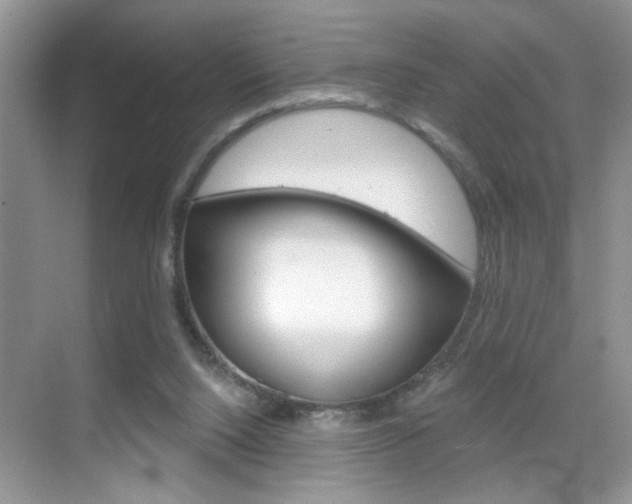 X0000069400064200605121034