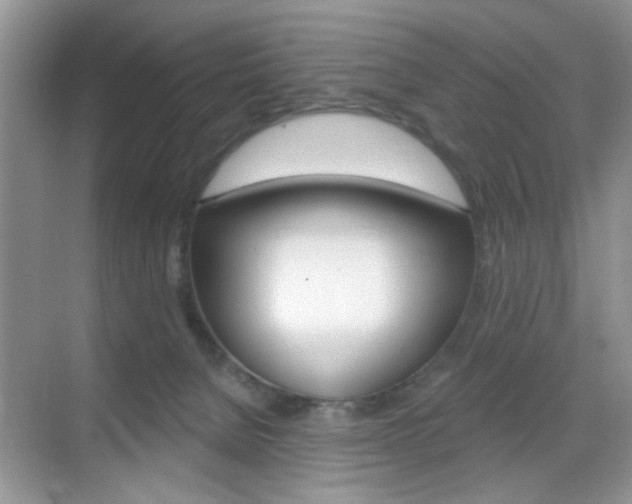 X0000069400080200605121034